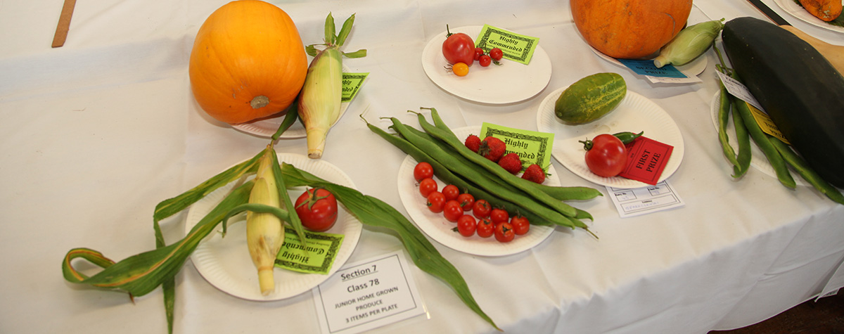 Exhibits at the Brading Horticultural Society Show