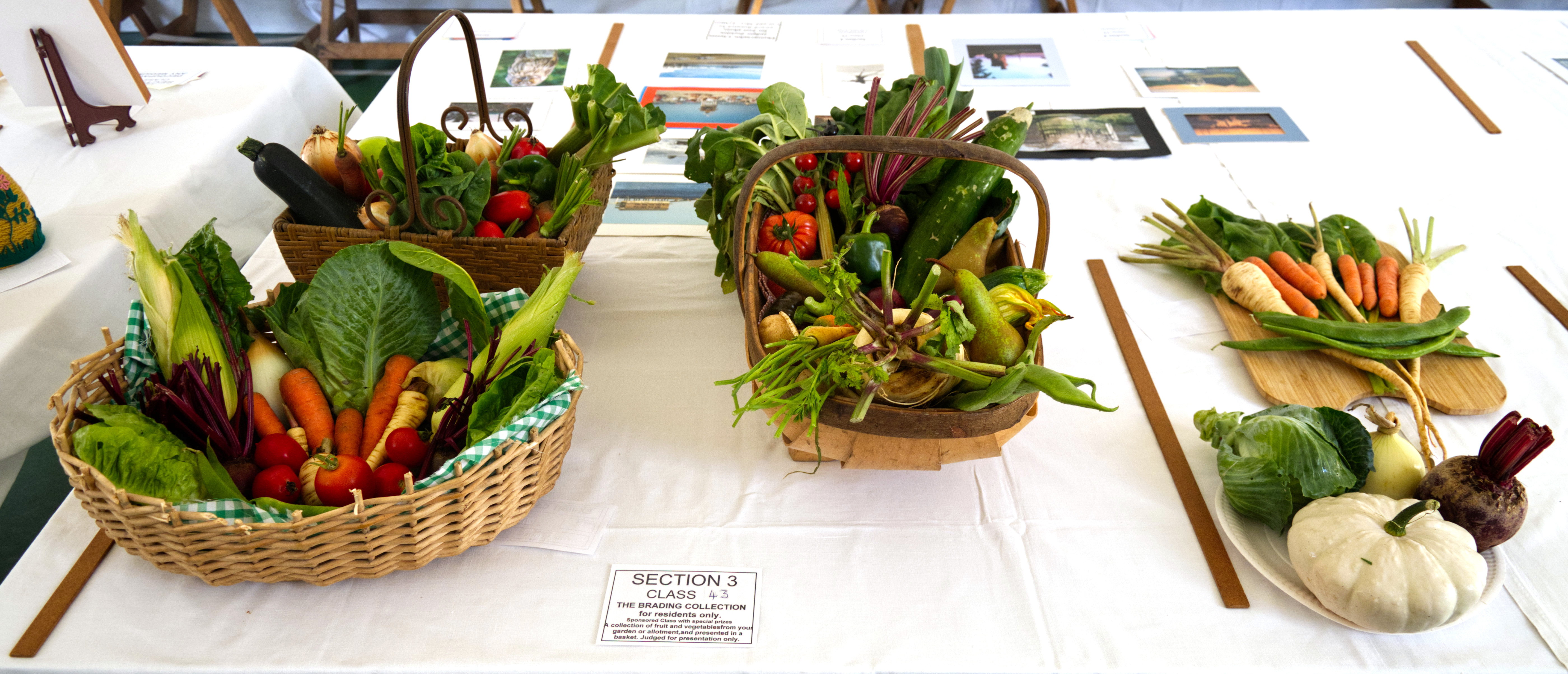 Brading Horticultural Society exhibits