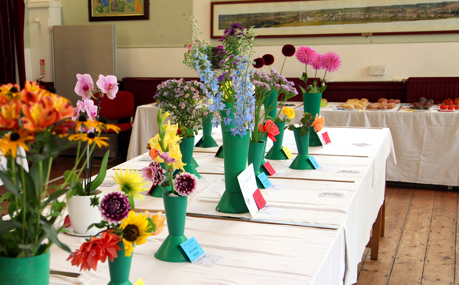 Brading Horticultural Society Show 2026 poster